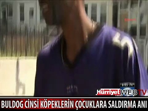 İŞTE KÖPEKLERİN ÇOCUKLARA SALDIRDIĞI AN