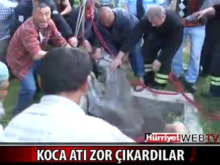 SU KUYUSUNA DÜŞEN ATI GÜÇLÜKLE ÇIKARDILAR