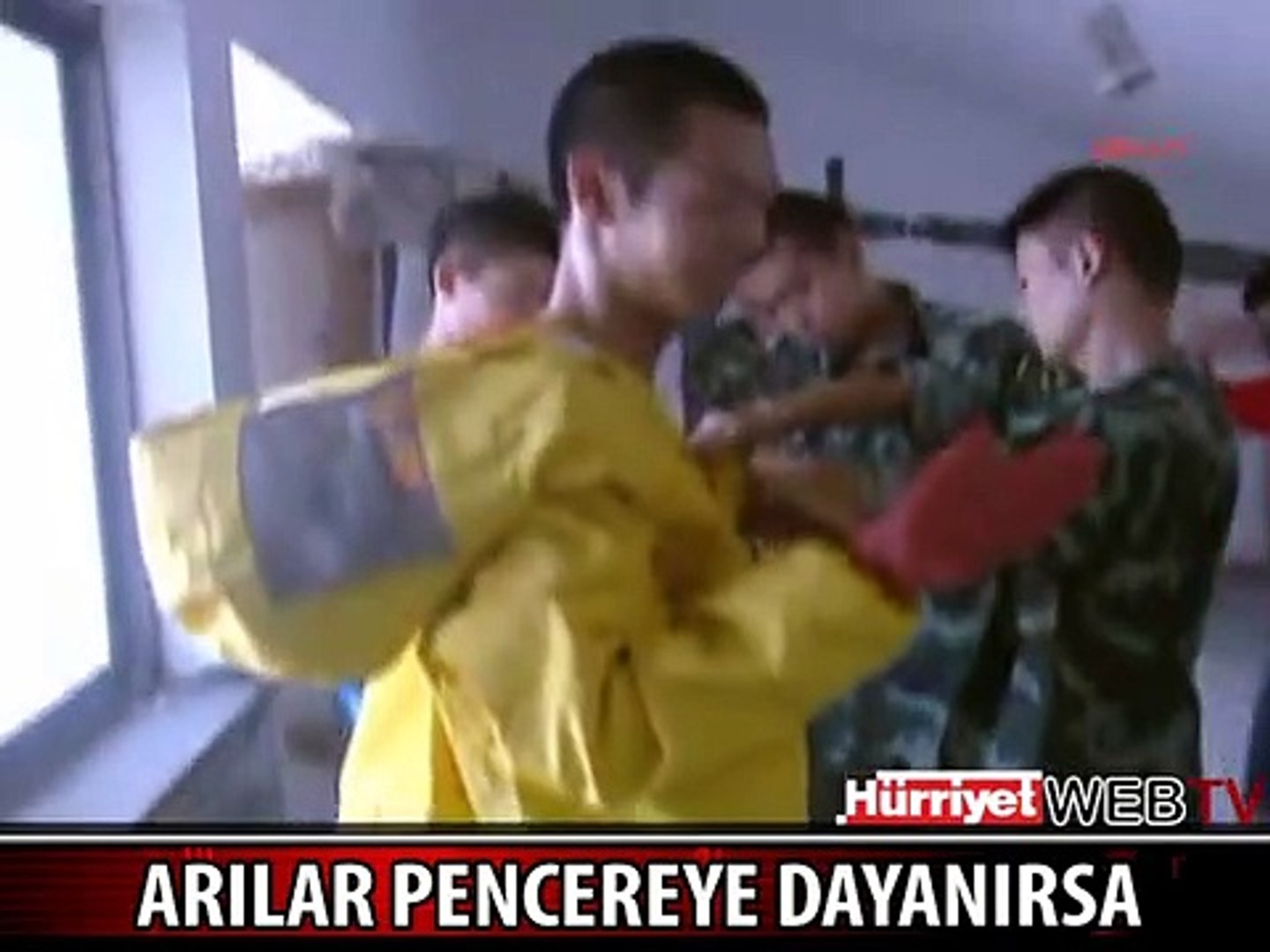 YABAN ARILARI PENCEREYE YUVA YAPTI