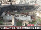 ŞEHİT MEZARLARININ İÇLER ACISI HALİ