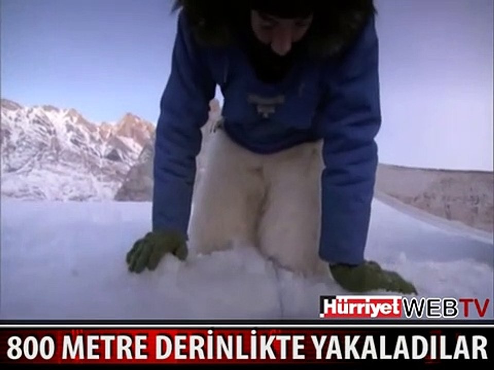 BUZ ALTINDA DEV KÖPEK BALIĞI AVLADILAR