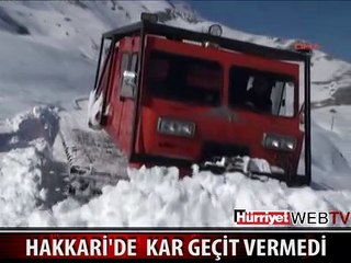 HAKKARİ KARLA BOĞUŞUYOR