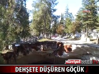 MEZARLIĞIN ORTASINDAKİ DEV GÖÇÜK, DEHŞETE DÜŞÜRDÜ