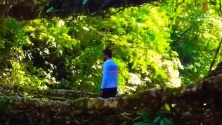 Meghalaya_Double decker living root bridge_India_#shorts