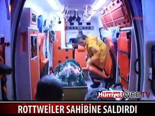 ROTWEILLER SAHİBİNE SALDIRDI, POLİS SESSİZCE "KAYBOLDU"