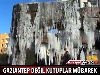 SANKİ GAZİANTEP DEĞİL KUTUPLAR MÜBAREK