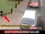 HAYVANSEVERLERİ AYAĞA KALDIRAN GÖRÜNTÜLER