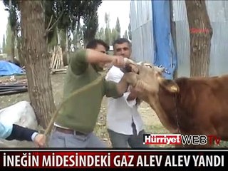MİDESİNDEN ÇIKAN GAZ BÖYLE YANDI