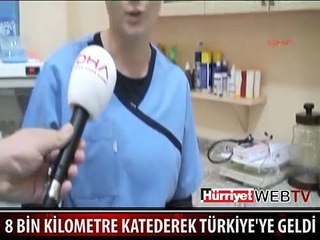 İŞTE DÜNYADA ÇOK ENDER BULUNAN O KEMİRGEN