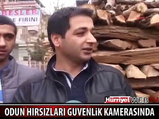 ODUN HIRSIZLARI KAMERAYA BÖYLE YAKALANDI