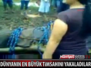 İŞTE DÜNYANIN EN BÜYÜK TİMSAHI