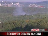 BEYKOZ'DA ORMAN YANGINI