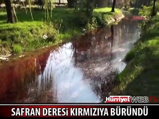 SAFRAN DERESİ KIRMIZIYA BÜRÜNDÜ