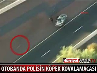OTOBANDA POLİS KÖPEK KOVALAMACASI