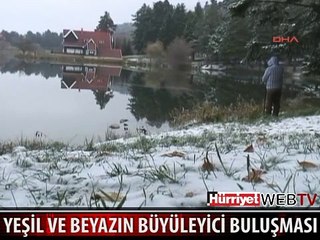 BİR DOĞA HARİKASI