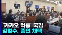 국회로 번진 '카카오 먹통'...김범수, 국감 증인 채택 / YTN