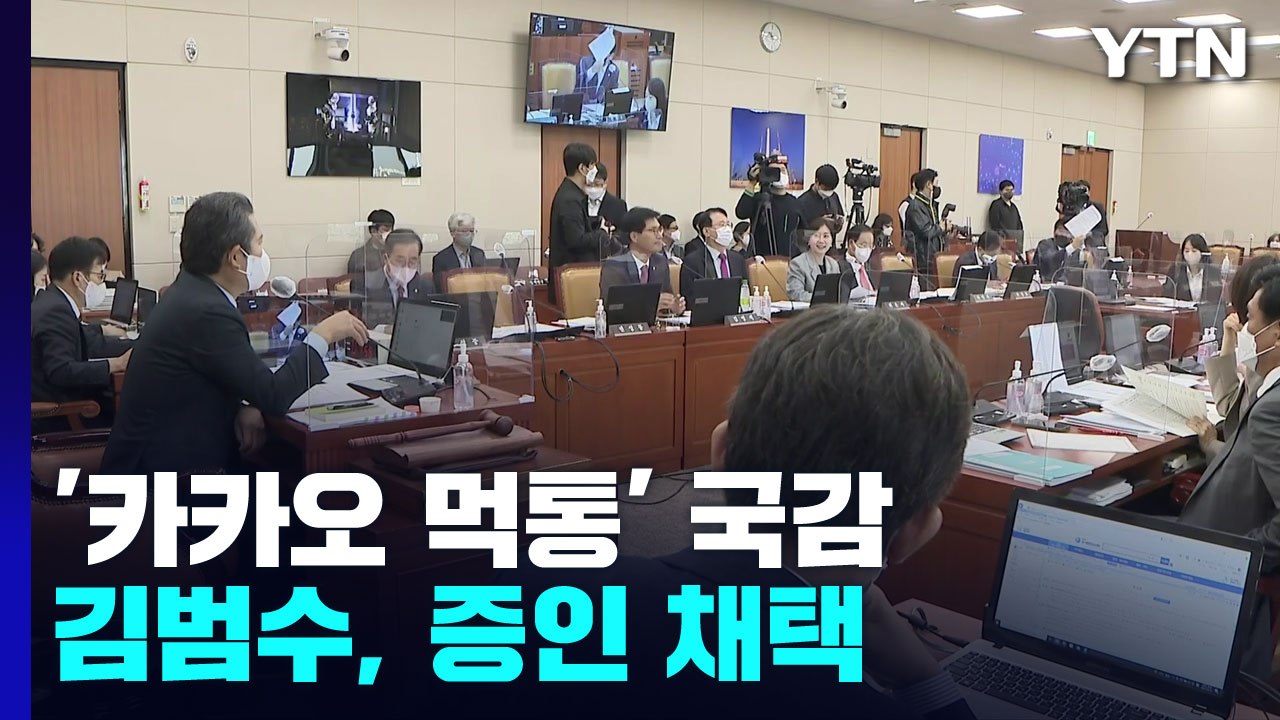 국회로 번진 '카카오 먹통'...김범수, 국감 증인 채택 / YTN