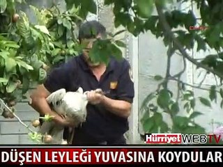 YUVASINA KAVUŞTU