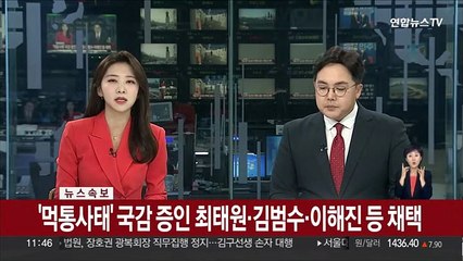 [속보] '먹통사태' 국감 증인 최태원·김범수·이해진 등 채택
