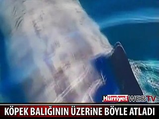 TEKNEDEN DEV KÖPEK BALIĞININ ÜZERİNE ATLADI