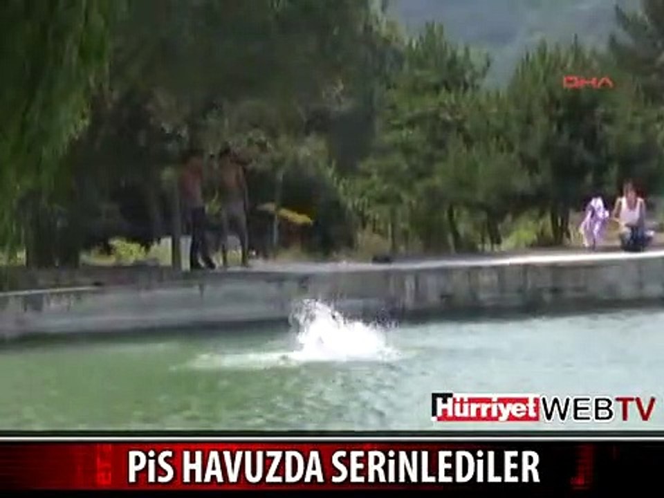 BU HAVUZDA SERİNLEDİLER