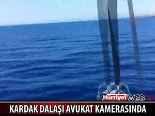 KARDAK DALAŞI BÖYLE GÖRÜNTÜLENDİ