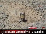 MAYIN İŞTE BÖYLE İMHA EDİLDİ
