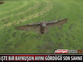 İŞTE HERKESİN HAYRAN OLDUĞU GÖRÜNTÜ