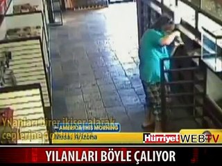 YILANLARI ÇALARKEN BÖYLE YAKALANDI