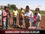 KARNELERİNİ TARLADA ALDILAR