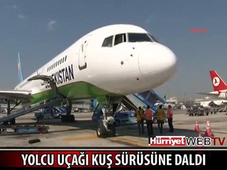 YOLCU UÇAĞI KUŞ SÜRÜSÜNE DALDI
