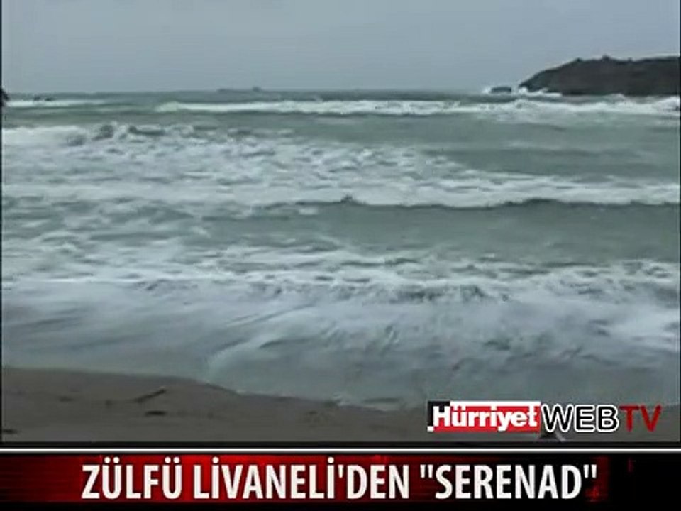 ZÜLFÜ LİVANELİ - SERENAD