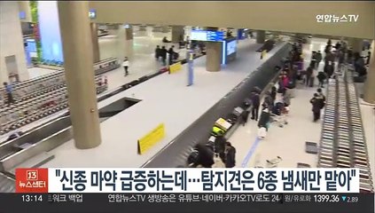 "신종 마약 급증하는데…탐지견은 필로폰 등 6종 냄새만 맡아"