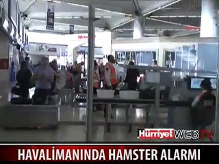 HAVALİMANINDA HAMSTER ALARMI
