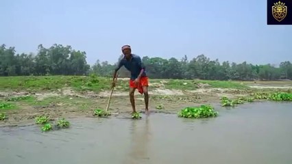 Mast Funny videos || amazing funny videos || #funny #comedy #funnyvideos