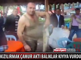 KIYIYA VURAN BALIKLARI BÖYLE YAKALADILAR
