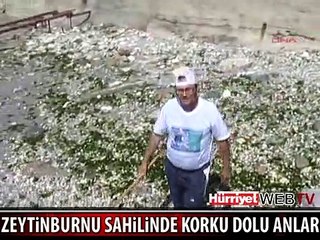 ZEYTİNBURNU SAHİLİNDE KORKU DOLU ANLAR