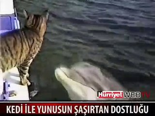 YUNUSLA KEDİNİN BÜYÜK DOSTLUĞU