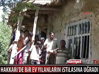 BU EVİN HER YERİNDEN YILAN ÇIKIYOR