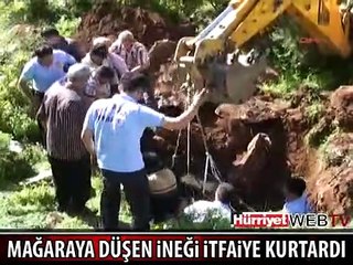 MAĞARAYA DÜŞEN İNEĞİ BÖYLE KURTARDILAR