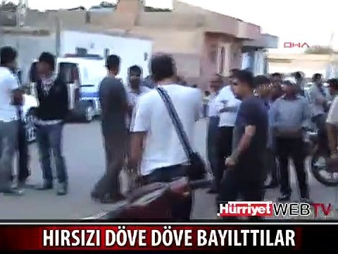 HIRSIZI DÖVE DÖVE BAYILTTILAR