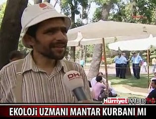 ORMANDAN MANTAR TOPLADI YEDİ