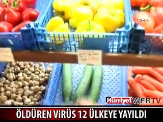 İŞTE ÖLÜM VİRÜSÜNÜN YAYILDIĞI ÜLKELER