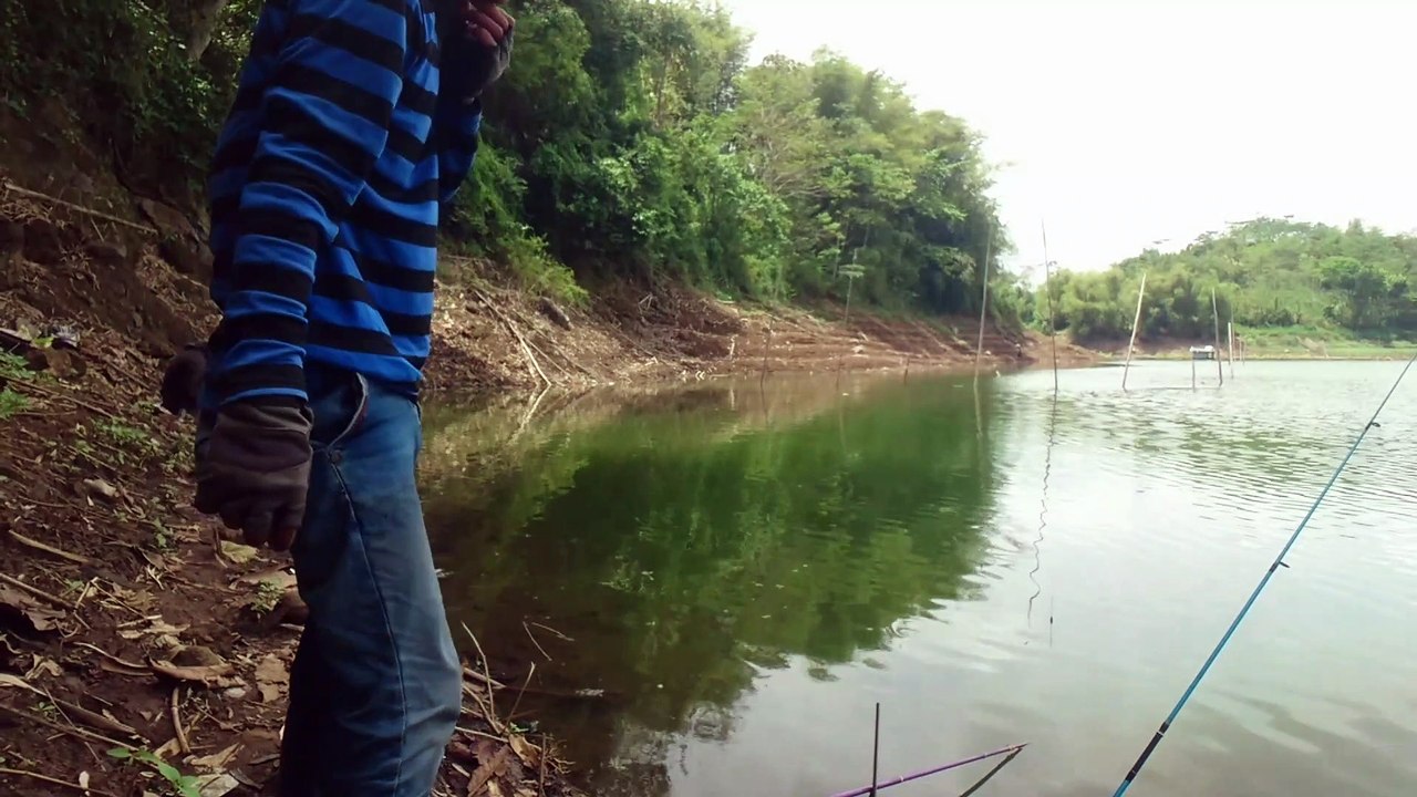 Mancing ikan wader
