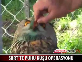 YARALI PUHU'YA İLK MÜDAHALEYİ ASKER YAPTI