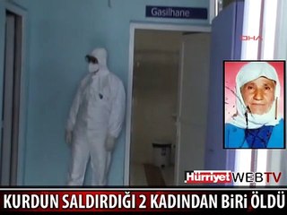 SİMAV'DA KUDUZ KARANTİNASI