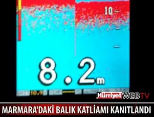 İNSANLARDAN 4 GÜN SONRA