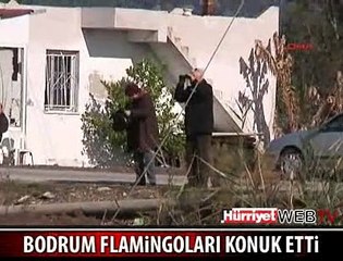 3 YIL ARADAN SONRA YİNE GELDİLER