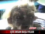 İŞTE İNSAN BAŞLI YILAN