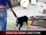 HAYVANSEVERLER HER YERDE BU CANİYİ ARIYOR
